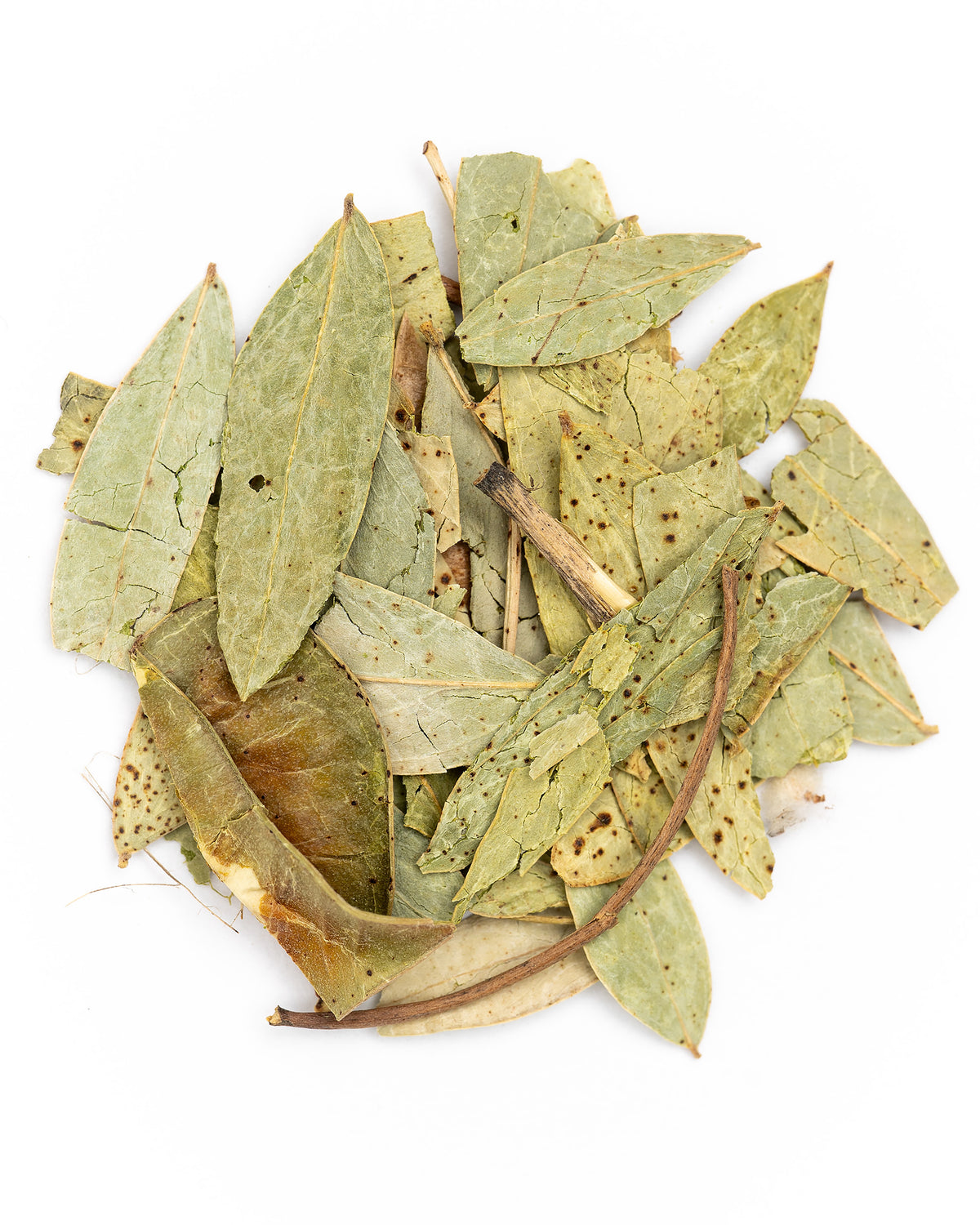Senna Leaf, Organic