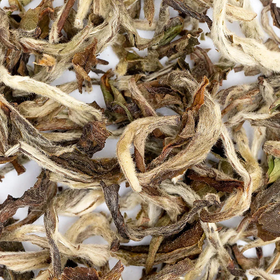 White Tea– Everything Tea