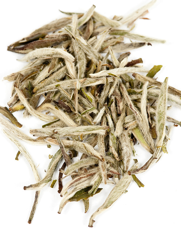Silver Needle White Tea : Organic